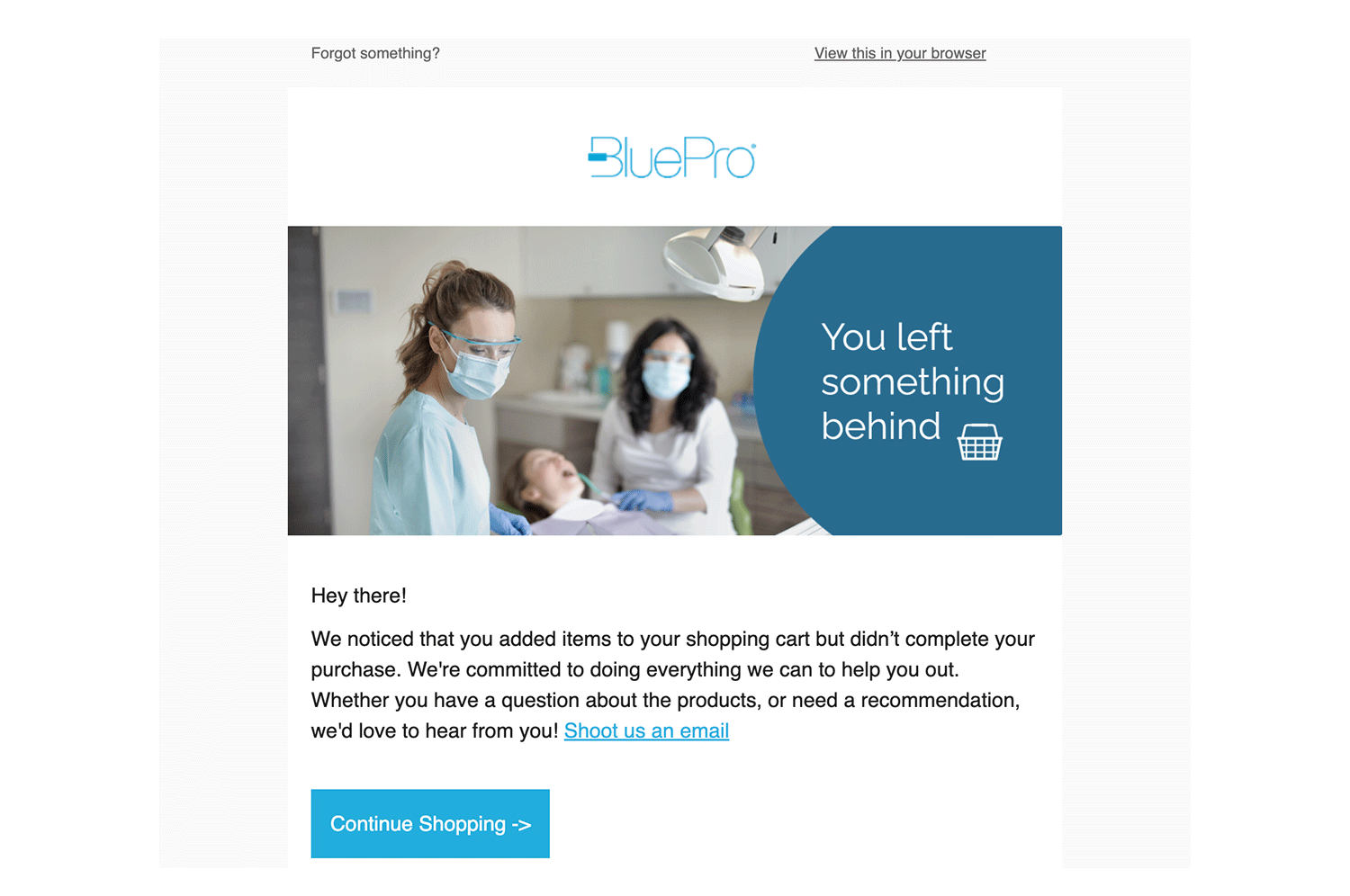 Bluepro Email